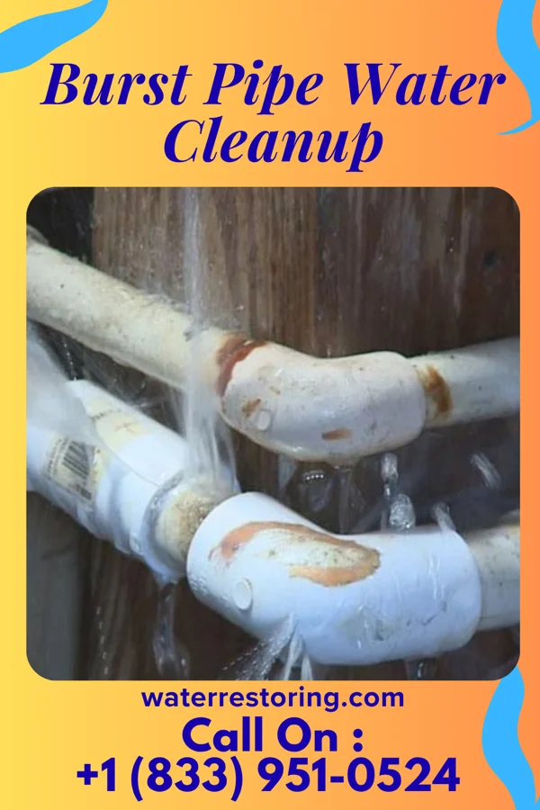 Burst Pipe Water Cleanup in Waterloo, AL