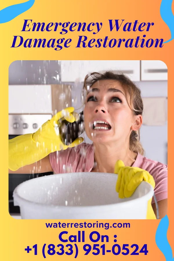 Emergency Water Damage Restoration in Waterloo, AL