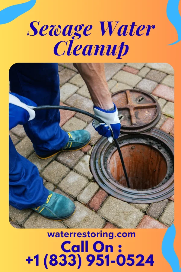 Sewage Water Cleanup in Waterloo, AL